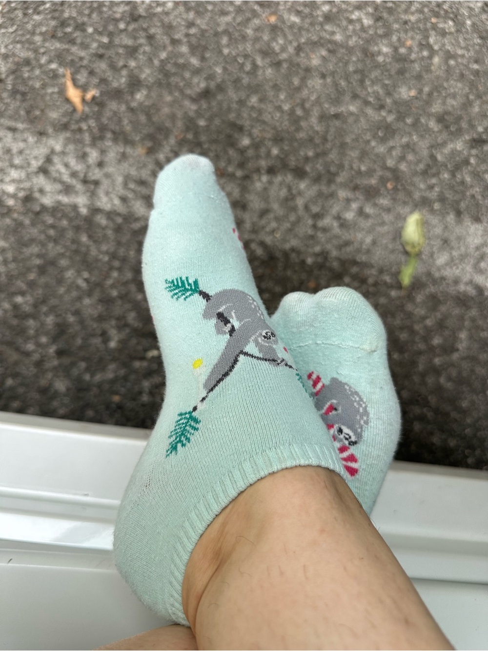 Mint Green Sloth Ankle Socks From Hot Sox Women’s